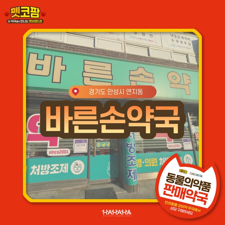 바른손케어 이미지
