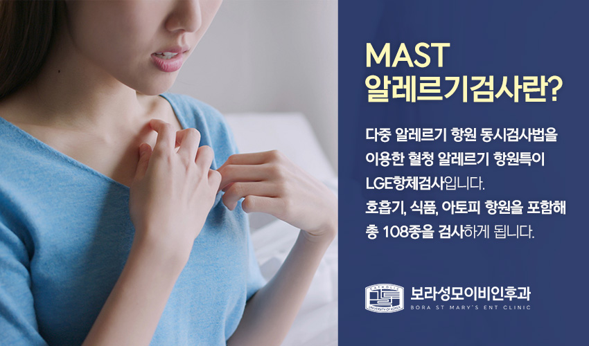 광진기전 이미지