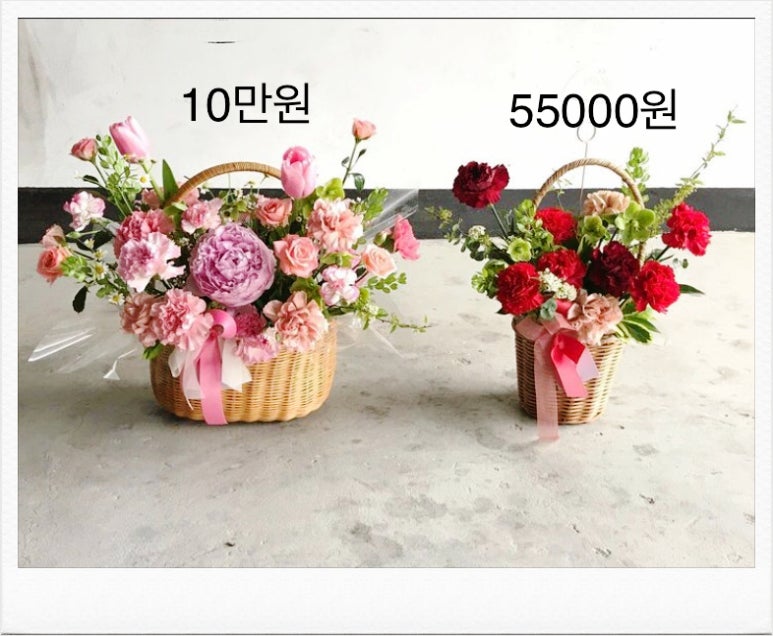 플로제 이미지