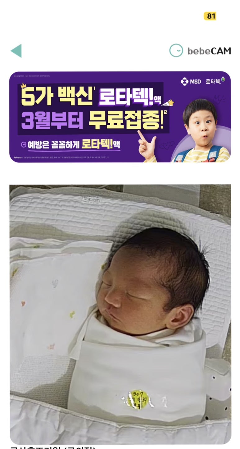 보꼬미 이미지