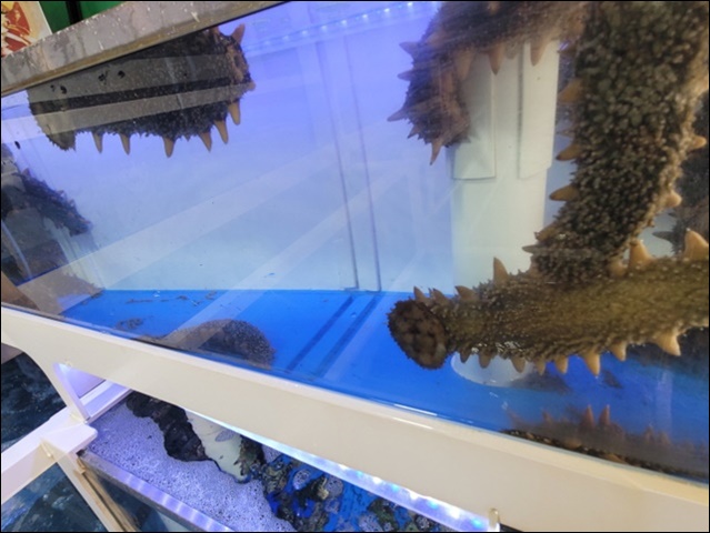 제일회센타 이미지