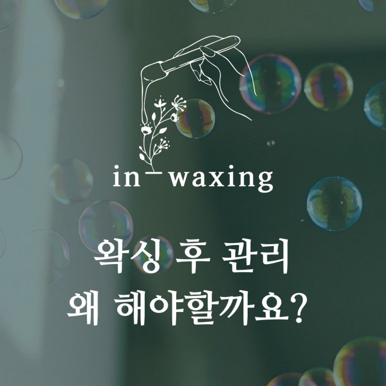 in_waxing 이미지