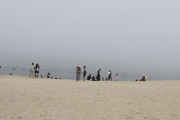 짬뽕수산 이미지