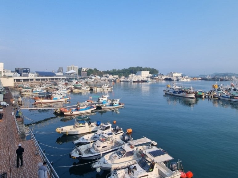 O.K수산 이미지