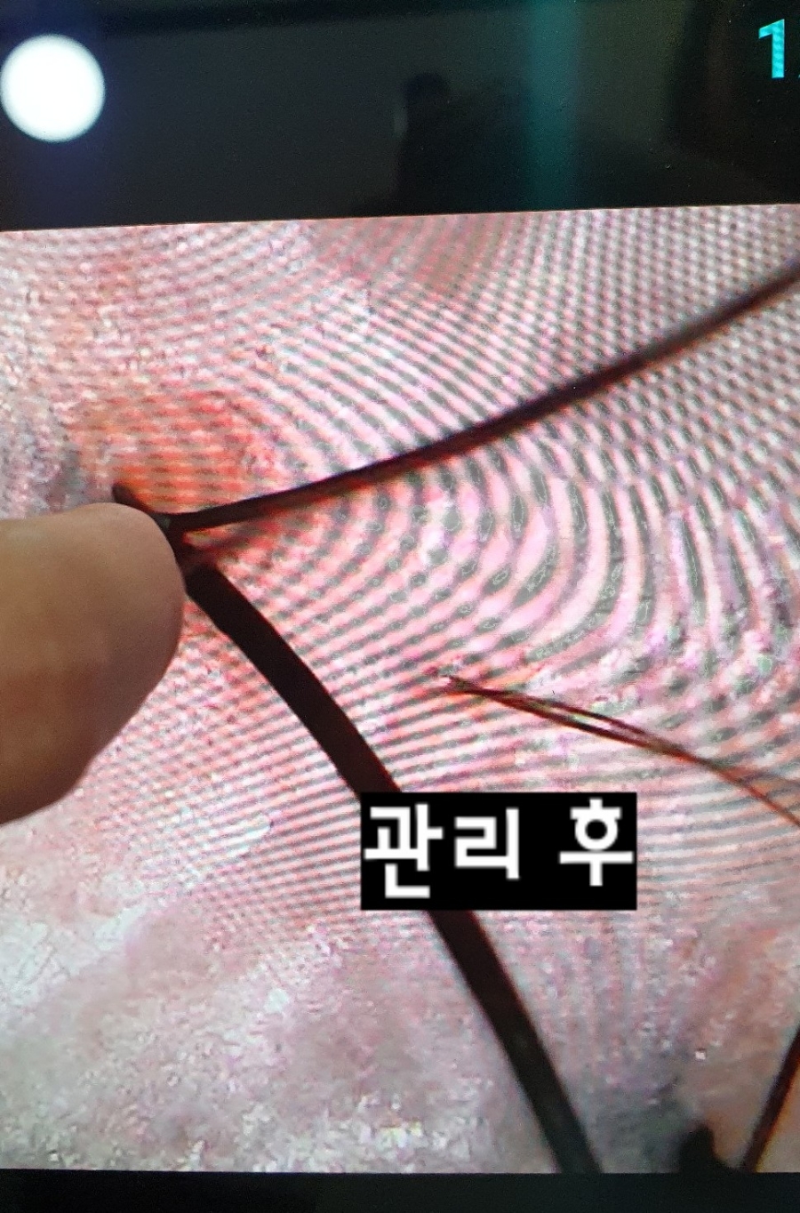 옥이미용실 이미지