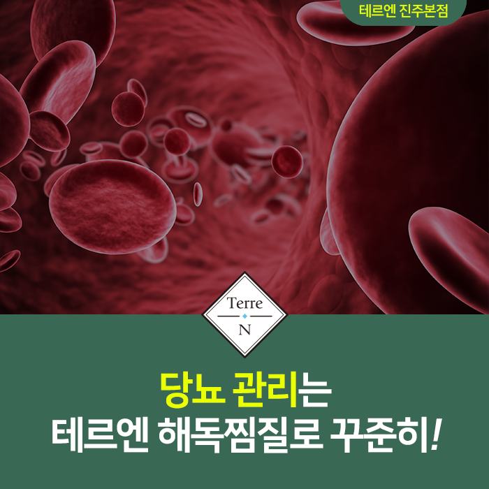 테르엔 이미지