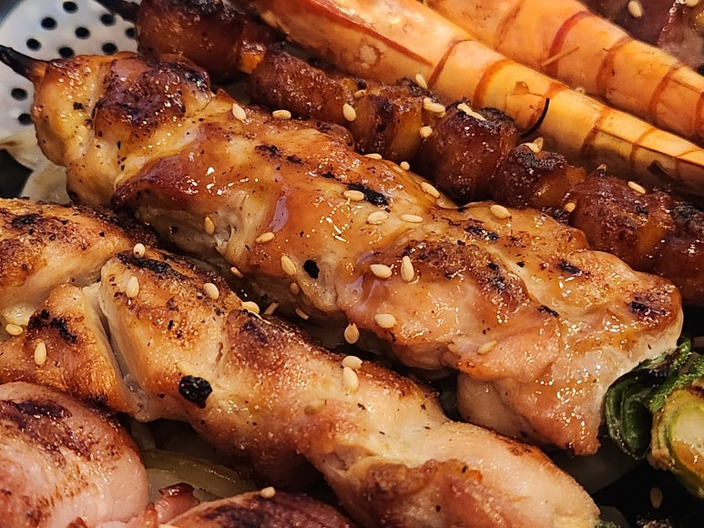 갈라파꼬치 이미지
