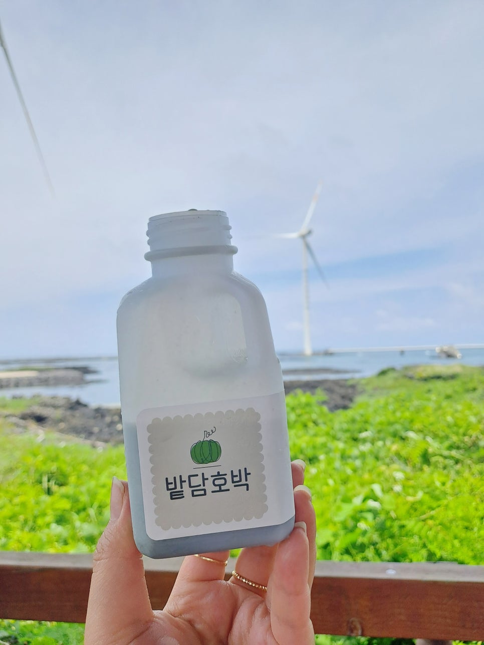 밭담호박 이미지
