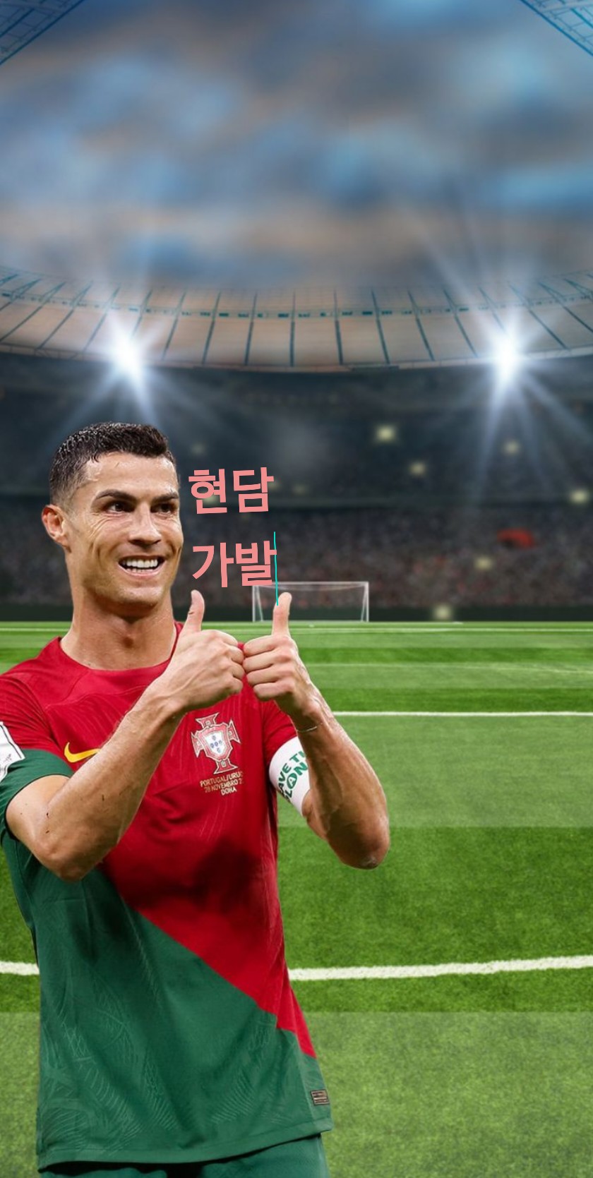 현담가발 이미지