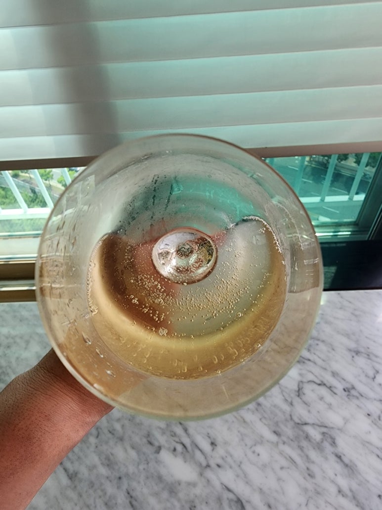 스테오라 이미지