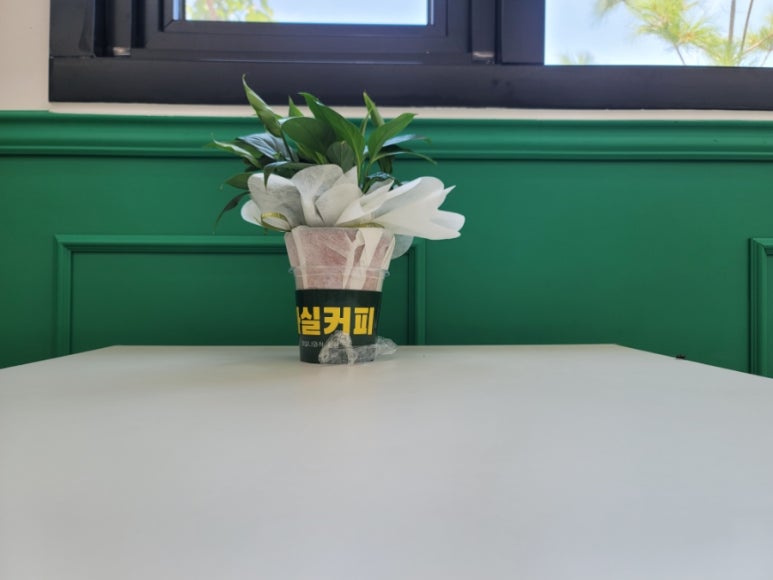 마실커피 뉴타운점 이미지