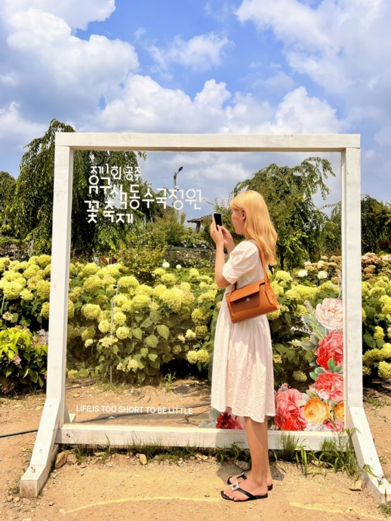 여행모음주 이미지