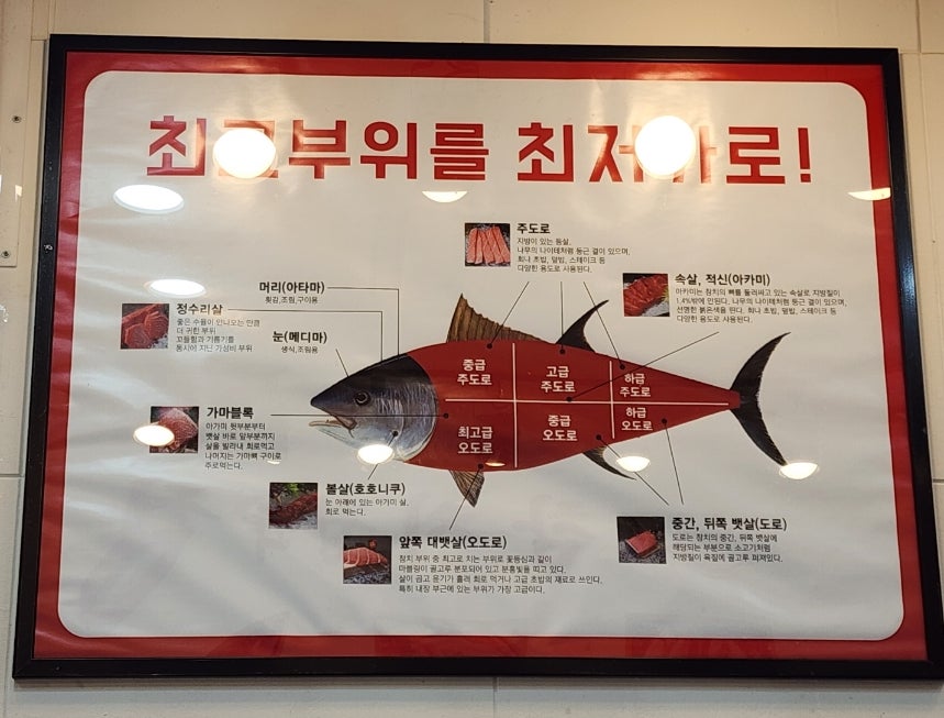 참치정육점기흥 이미지