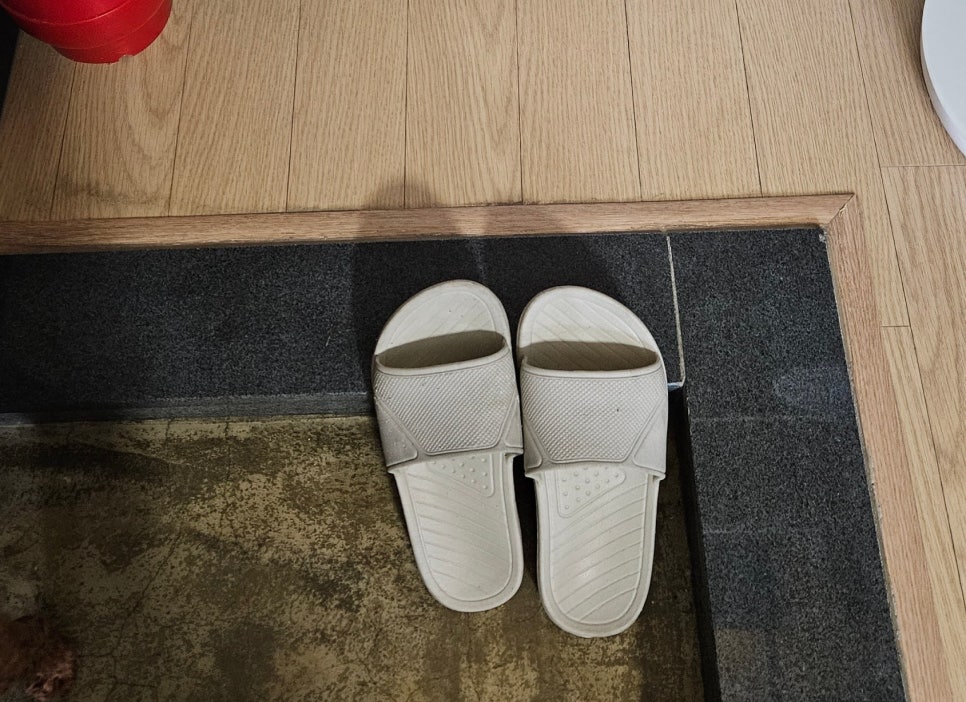 보헤미안애견펜션 이미지