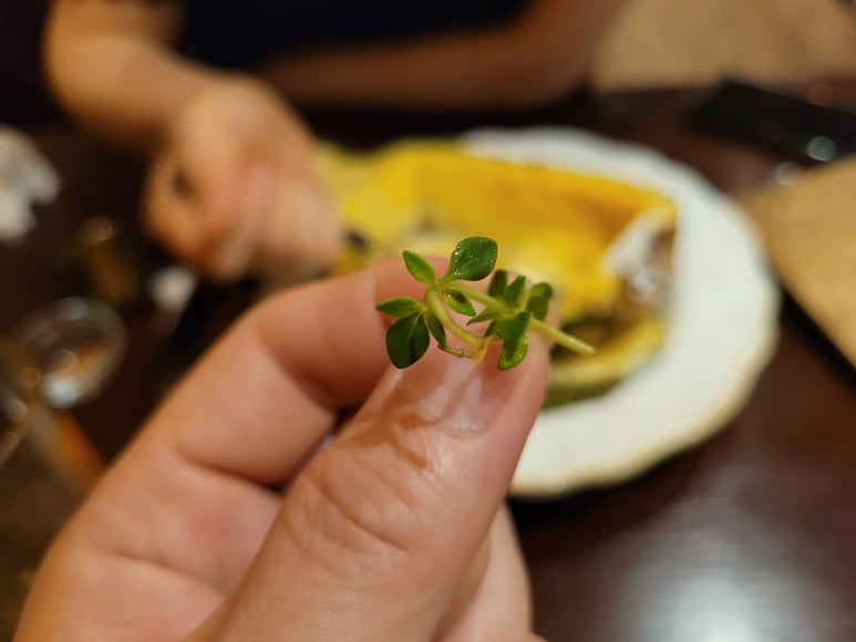 금별식당 이미지