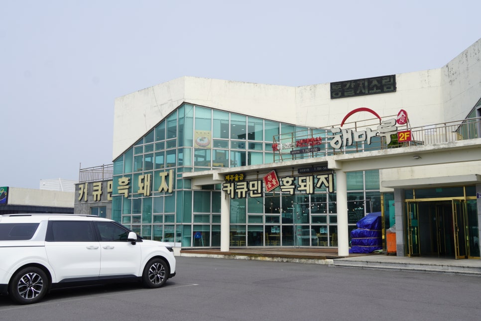 1등돼지 이미지