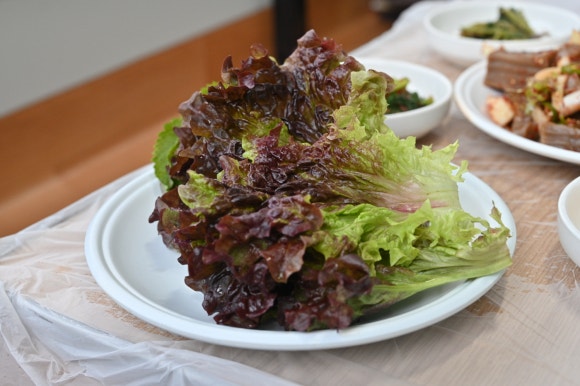 경주옻닭 이미지