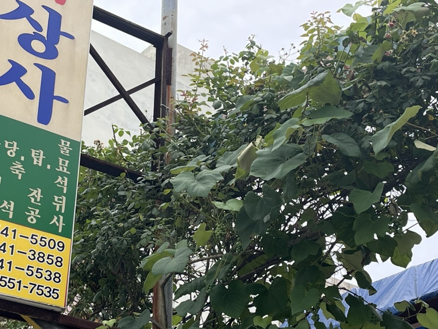 충남석재상사 이미지