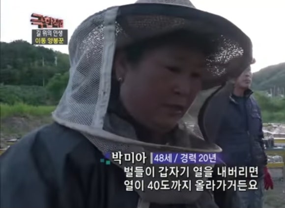 토함산 벌꿀세상 이미지
