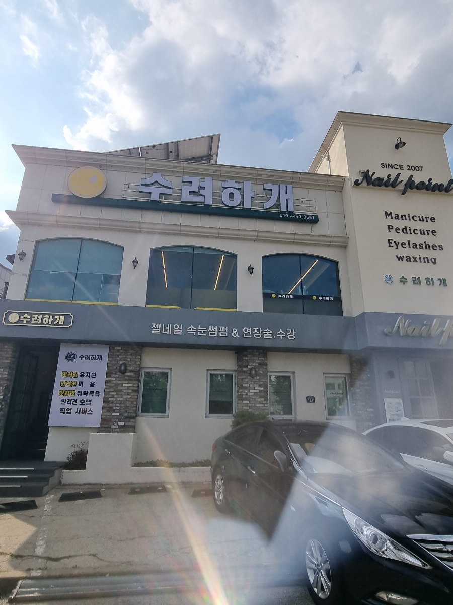 수려하개 이미지