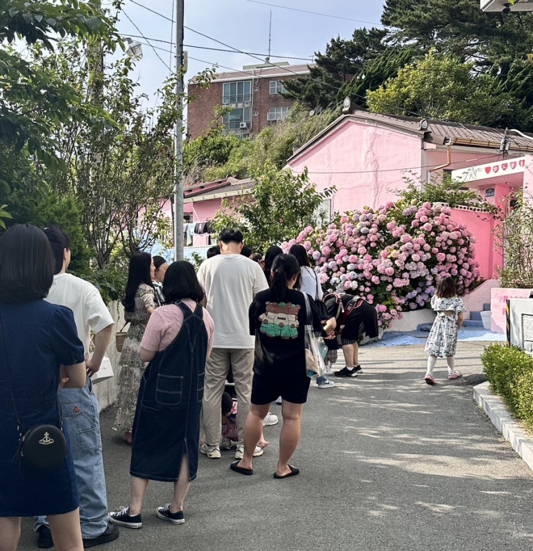 태종대종점유람선매표소 이미지