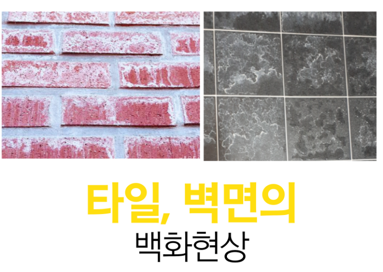 백화가스 이미지
