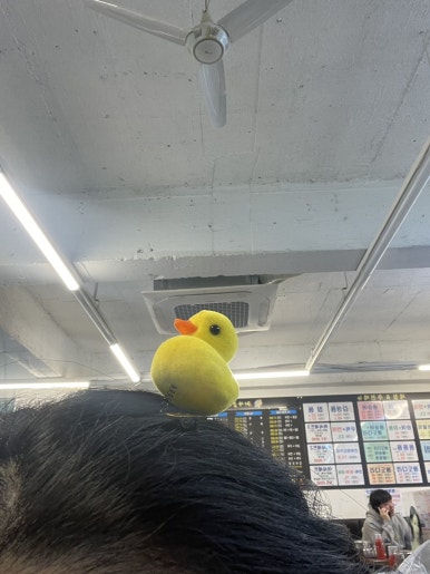판도라노래연습장 이미지