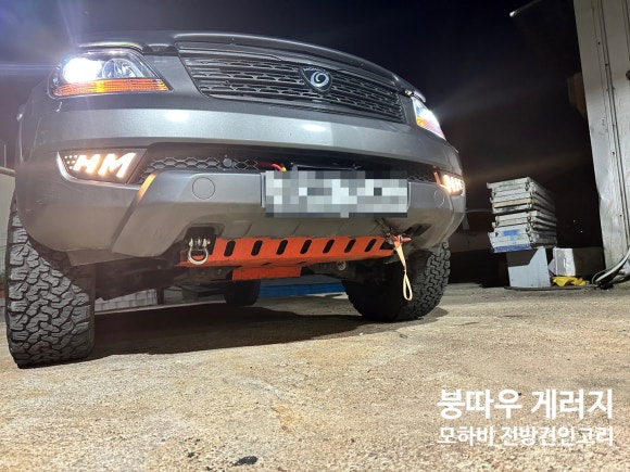 붕따우게러지 이미지