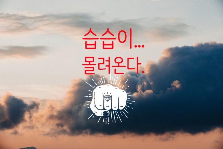 신달하우스 이미지