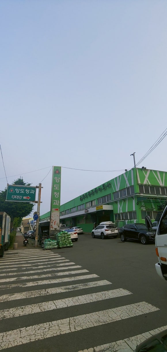 항도청과 이미지