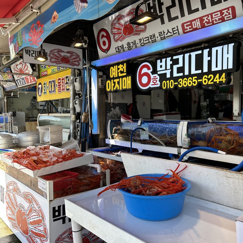 6호박리다매 이미지