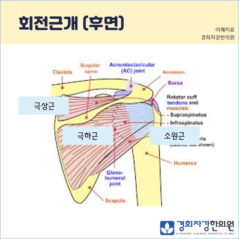 경희자강한의원 이미지