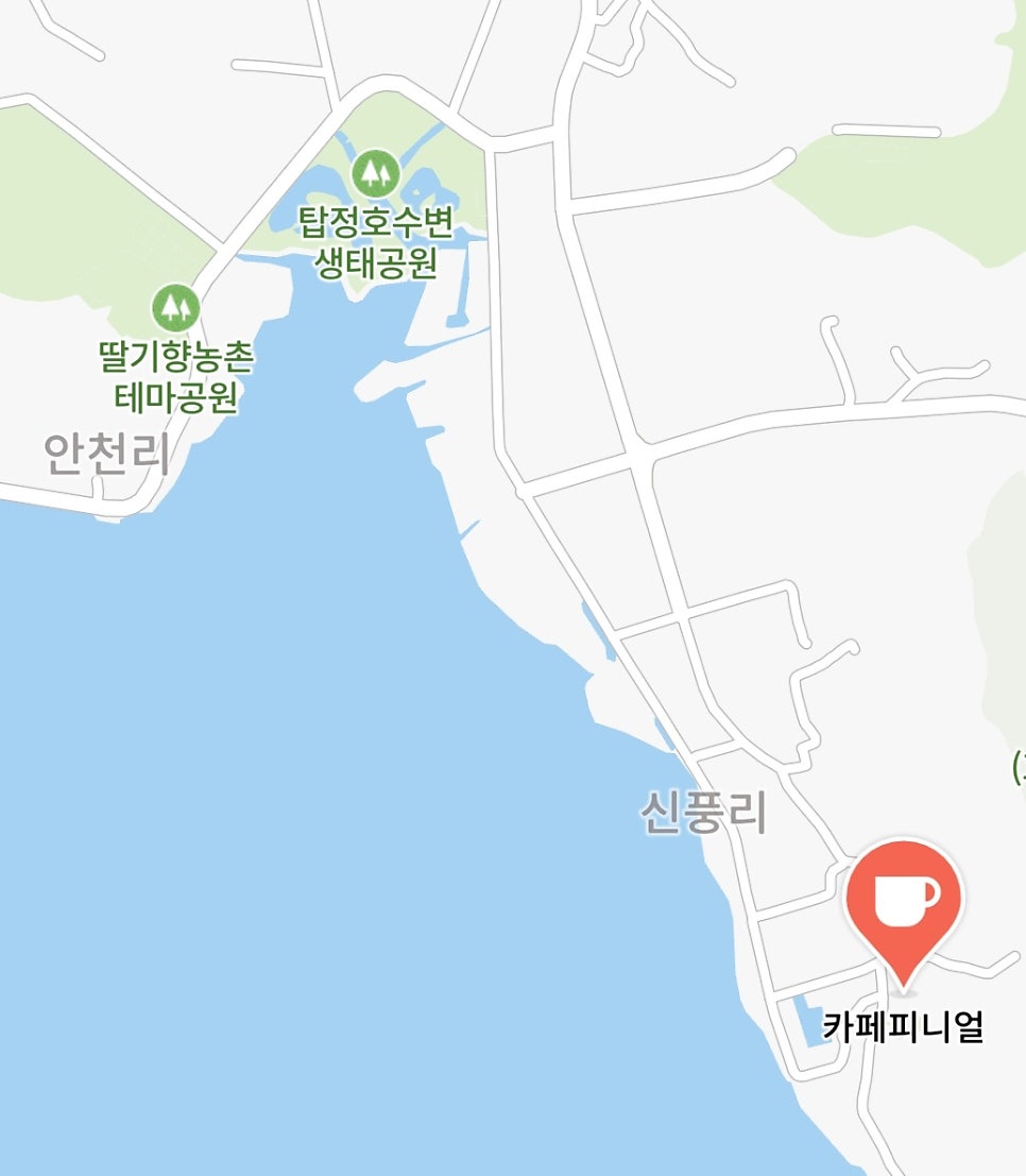 카페피니얼 이미지