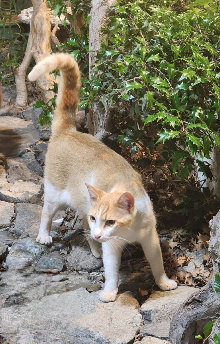 금호수산 이미지