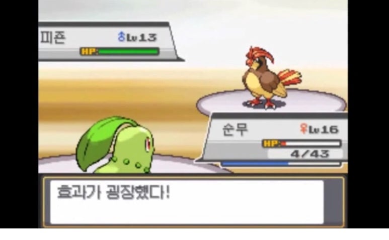 키드움 이미지