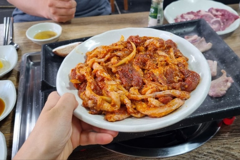 둥지생오리 이미지
