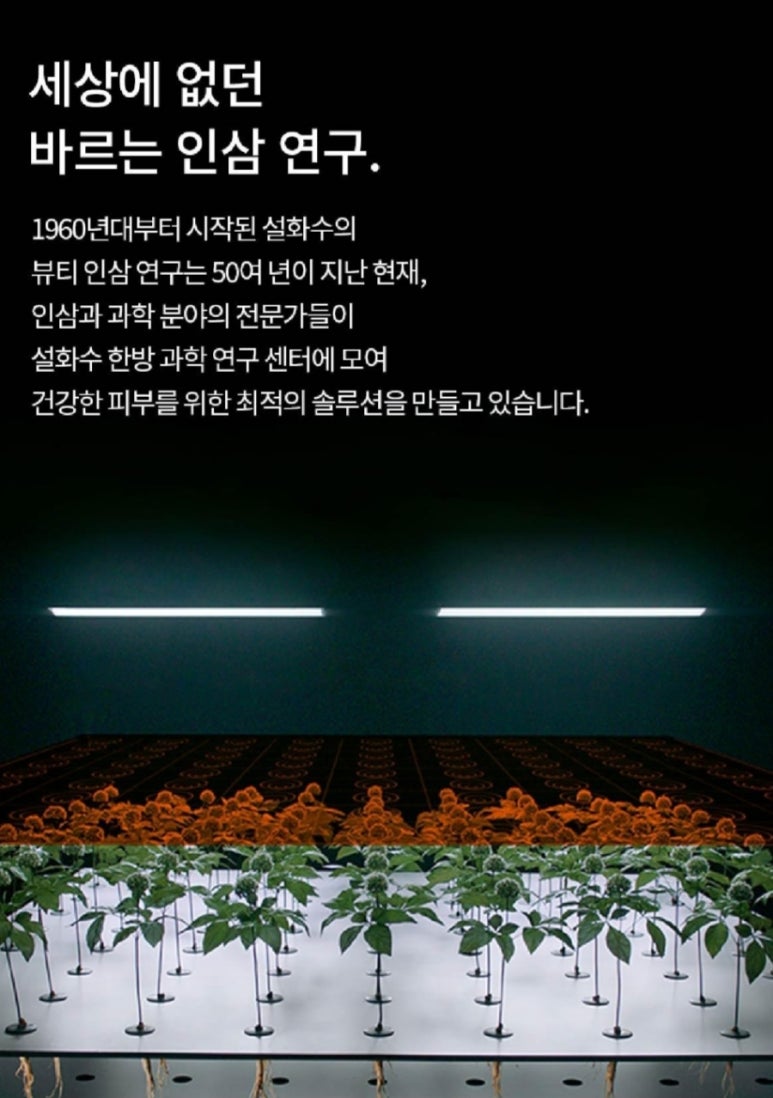 춘천아모레 이미지