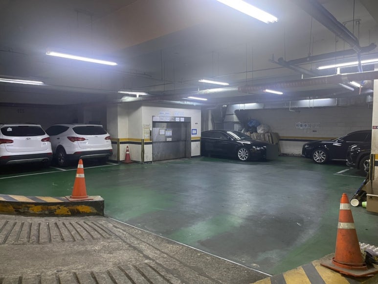 야자수 기흥구청 이미지
