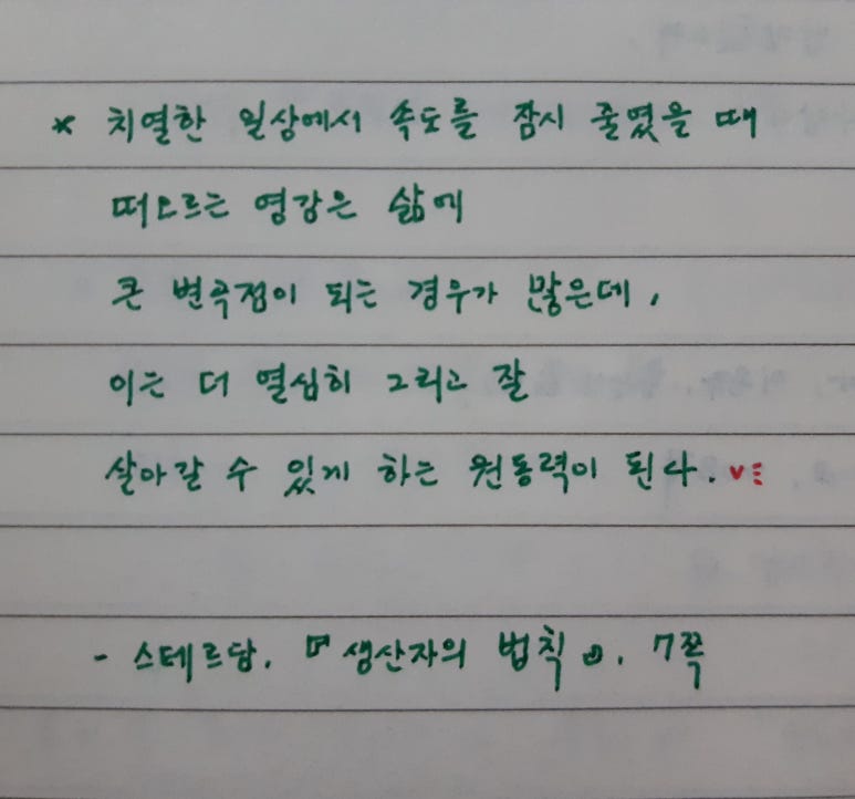 (주)스테르나 이미지