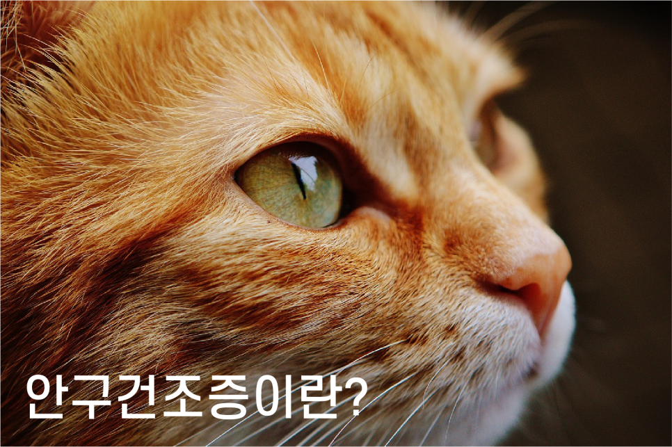수경한의원 이미지