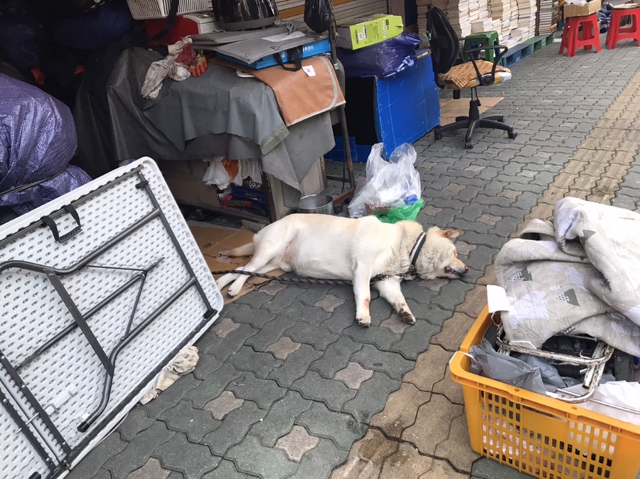 동묘국수 이미지