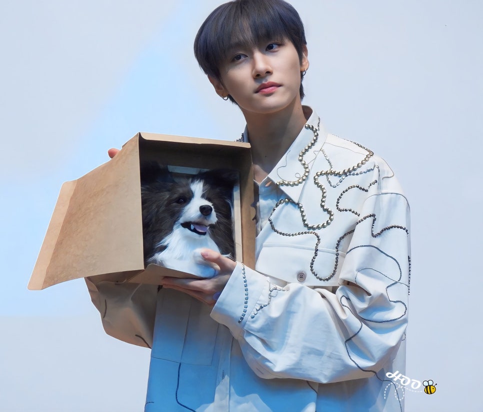 아이돌뮤직 이미지