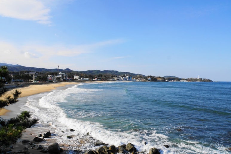 밝은미래주 이미지