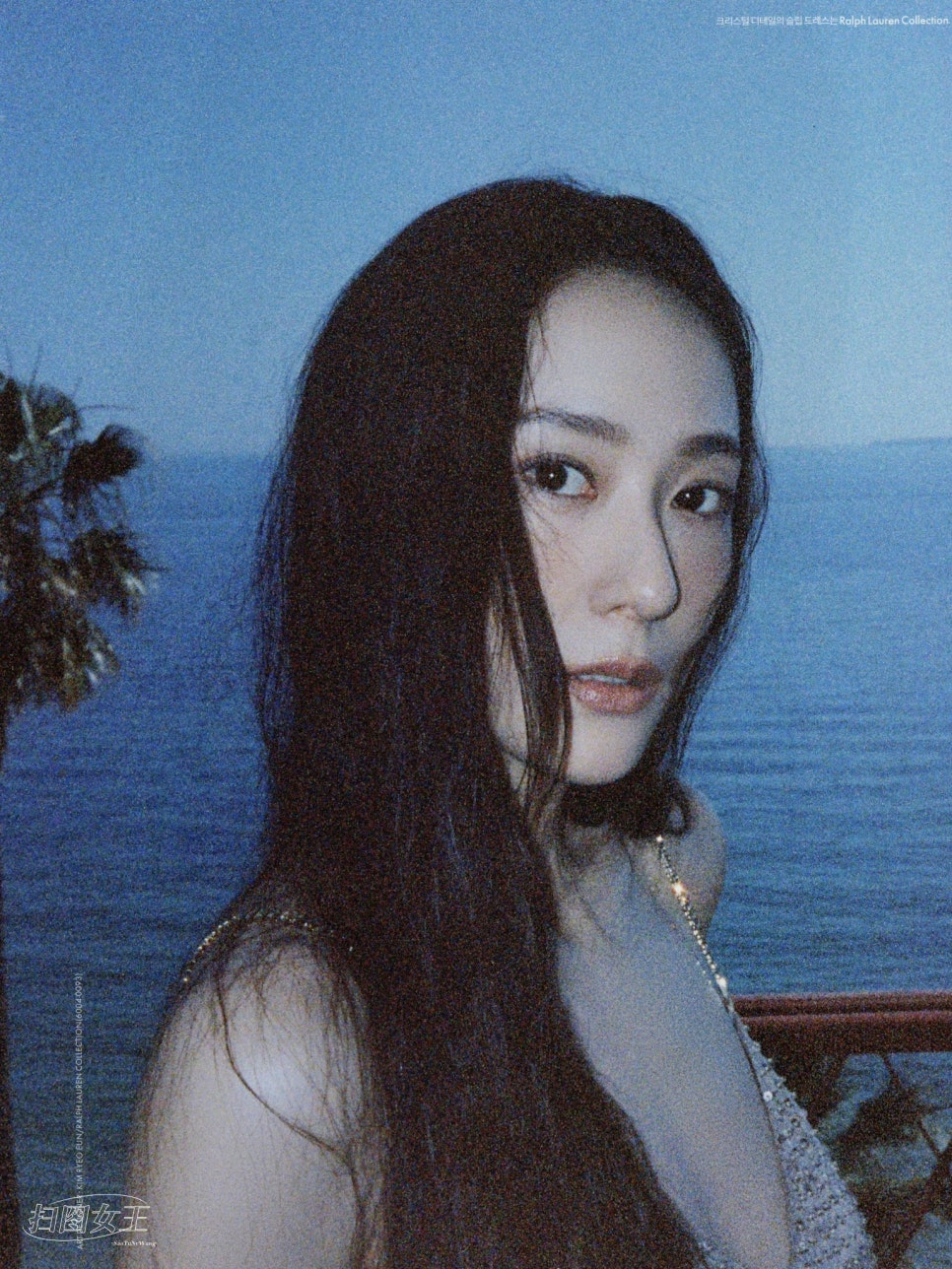 참조아 이미지