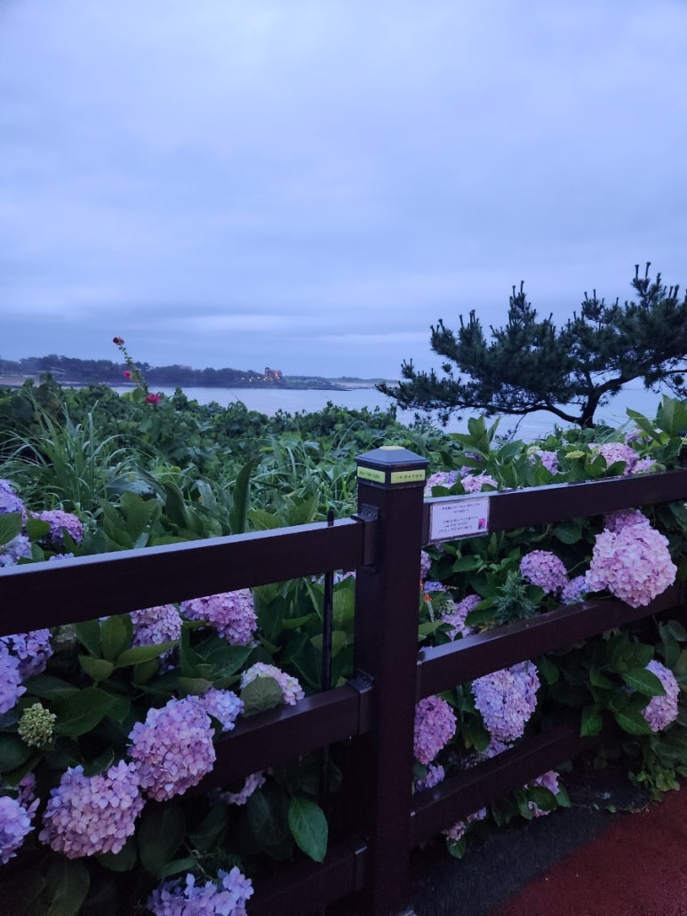 별방편의점 이미지