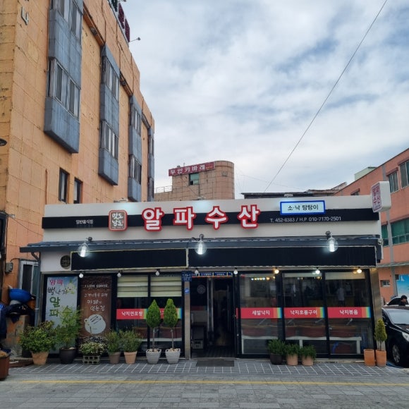 알파수산 이미지
