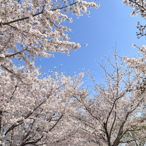 우만동 족발집(송죽점) 이미지