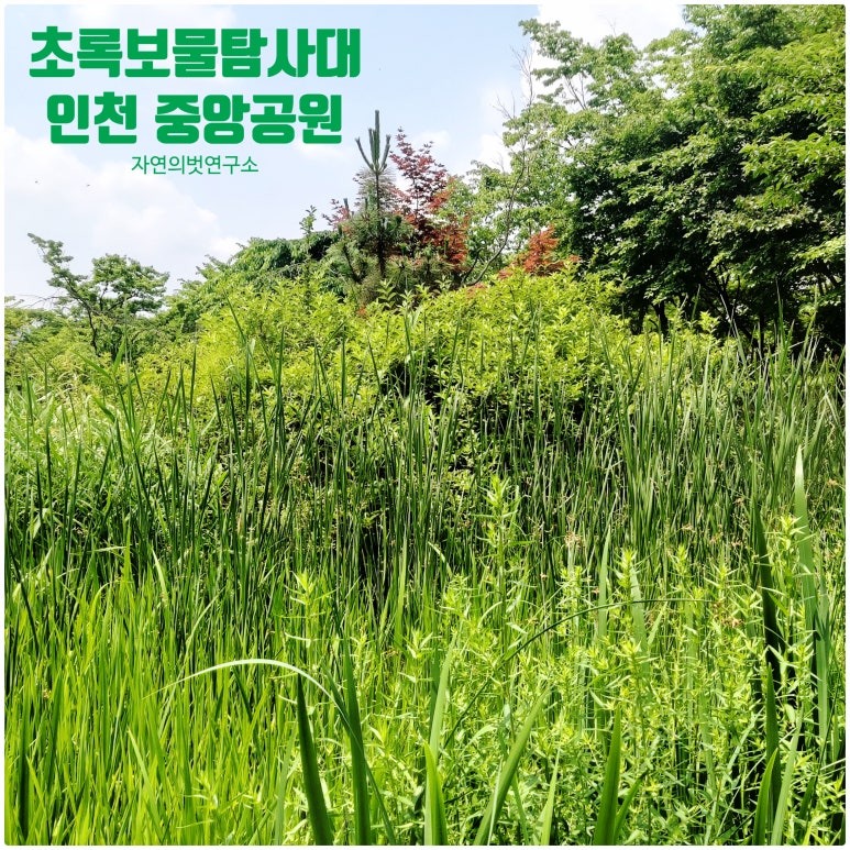 초록나무연구소 이미지