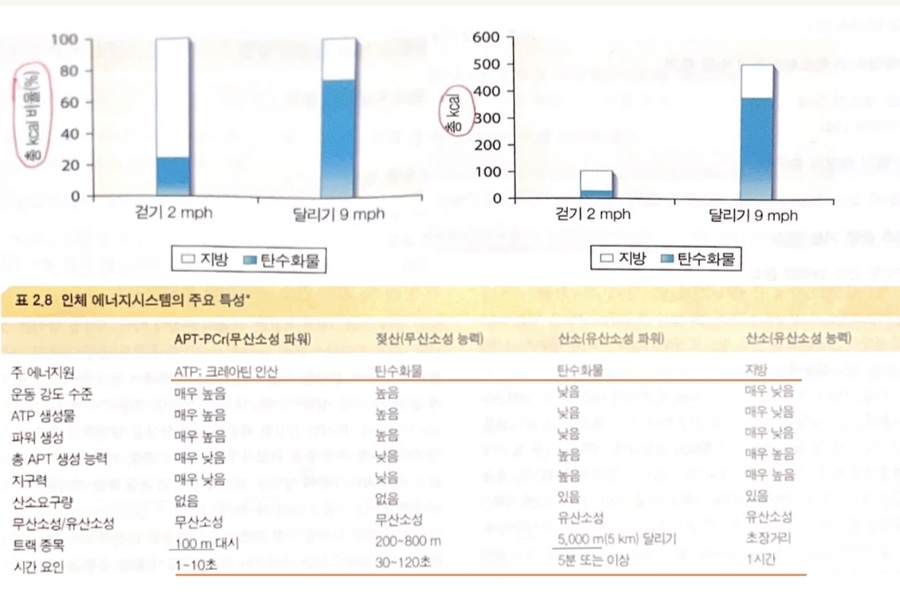 피트니스209 이미지