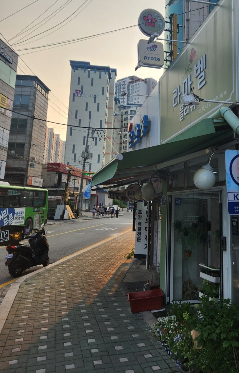 라마벨플라워 이미지